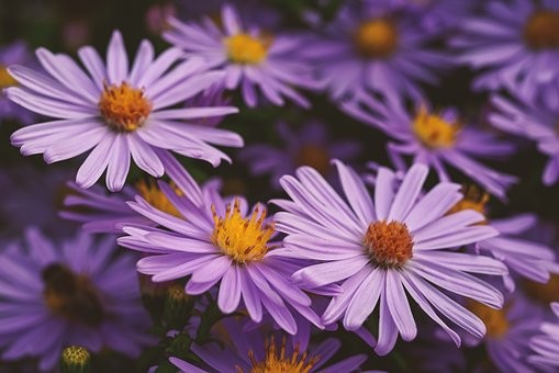 Muhammad (pbuh): A Mercy to the Universe